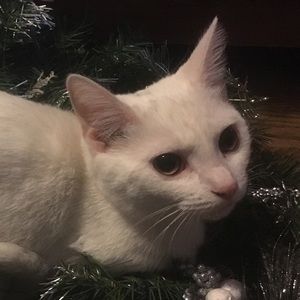 Meet your Posher, Tammy